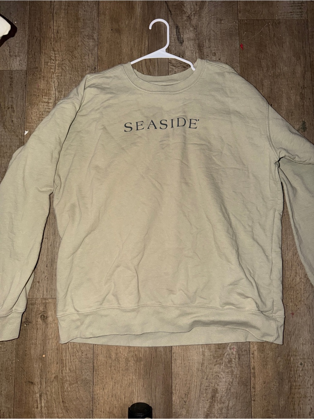 Women's Crewneck Sweatshirt in Light Beige